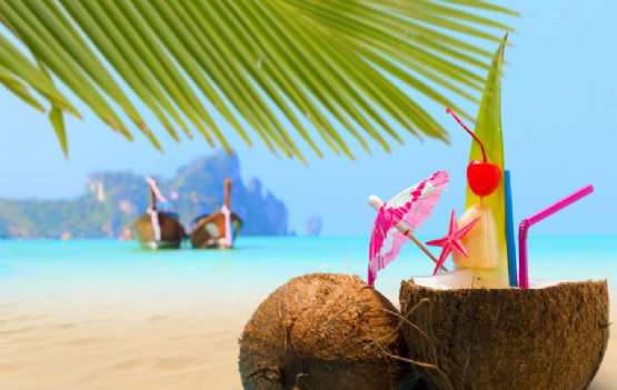 Camboriú e Praias Catarinenses Camboriú e Praias Catarinenses